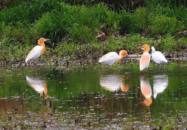 今日立夏，转这些诗词，可以让你在朋友圈脱颖而出！