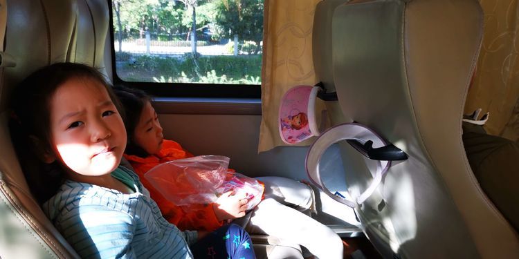 三亚红树林有亲子活动,三亚红树林和海韵