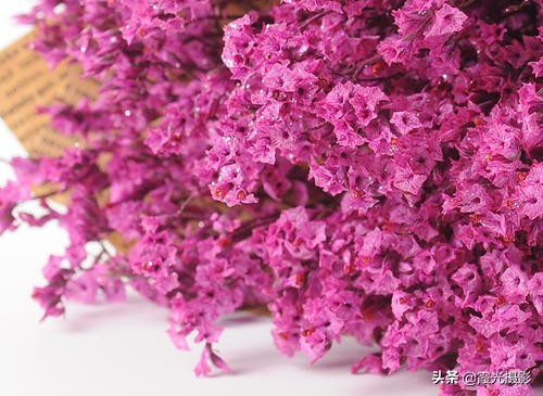 怎么做保持原花色的干花,如何制作干花保持得久