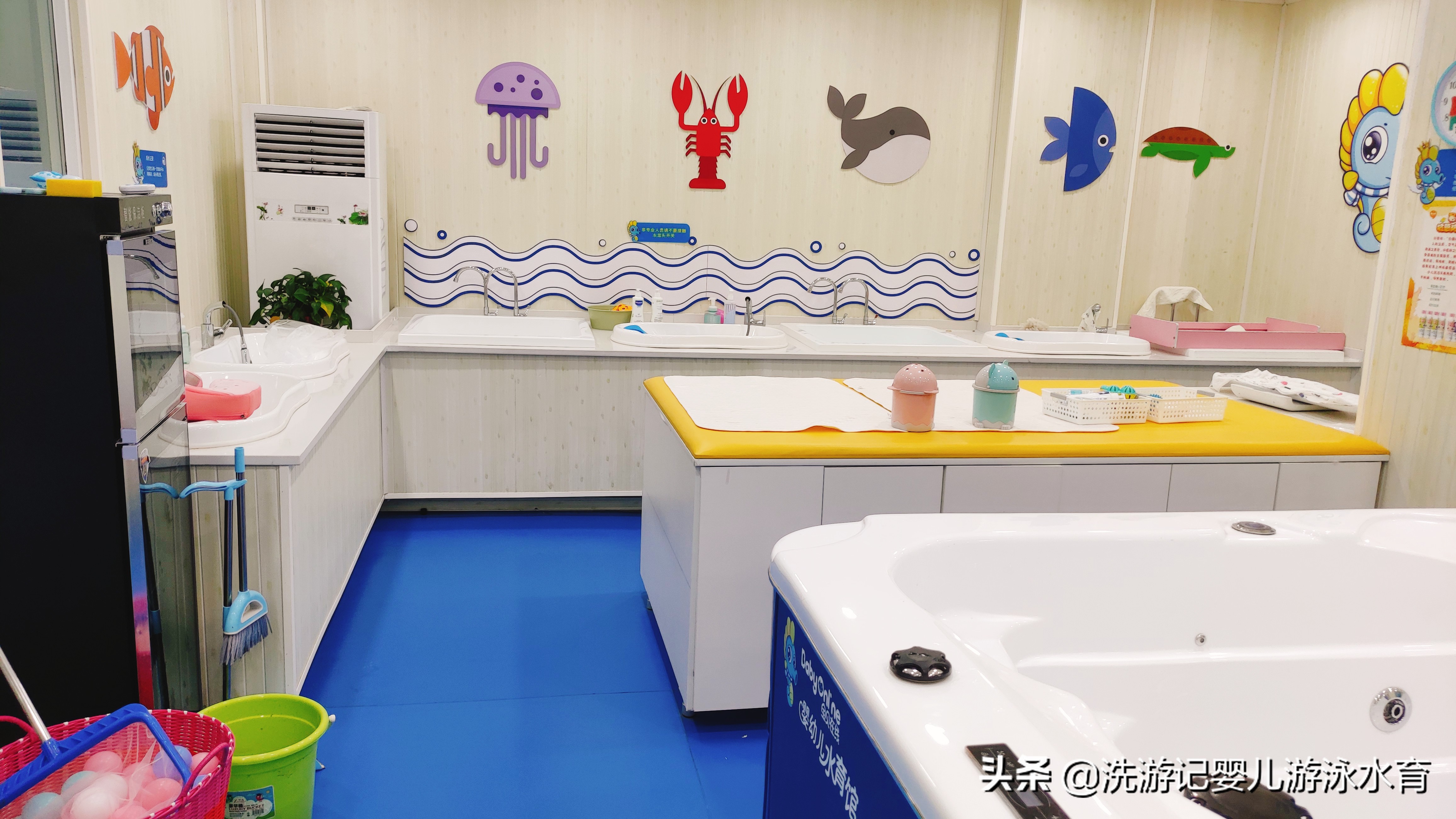 婴幼儿游泳馆加盟赚钱吗,婴幼儿游泳加盟要多少钱