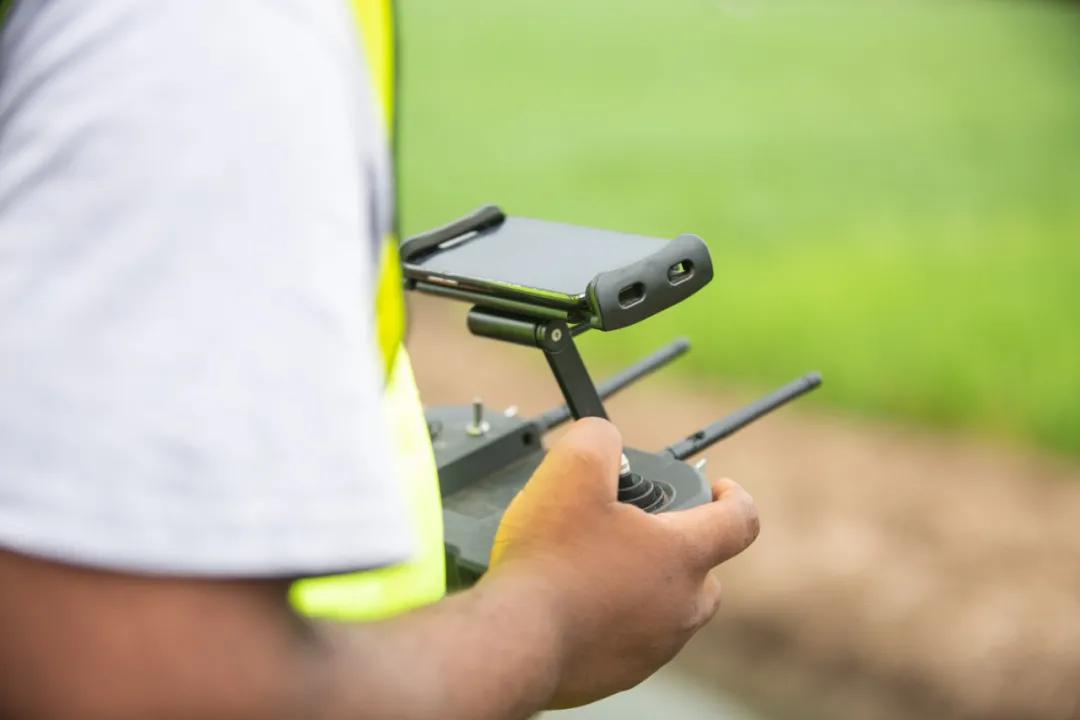 上海花博会讲解,上海花博会有什么