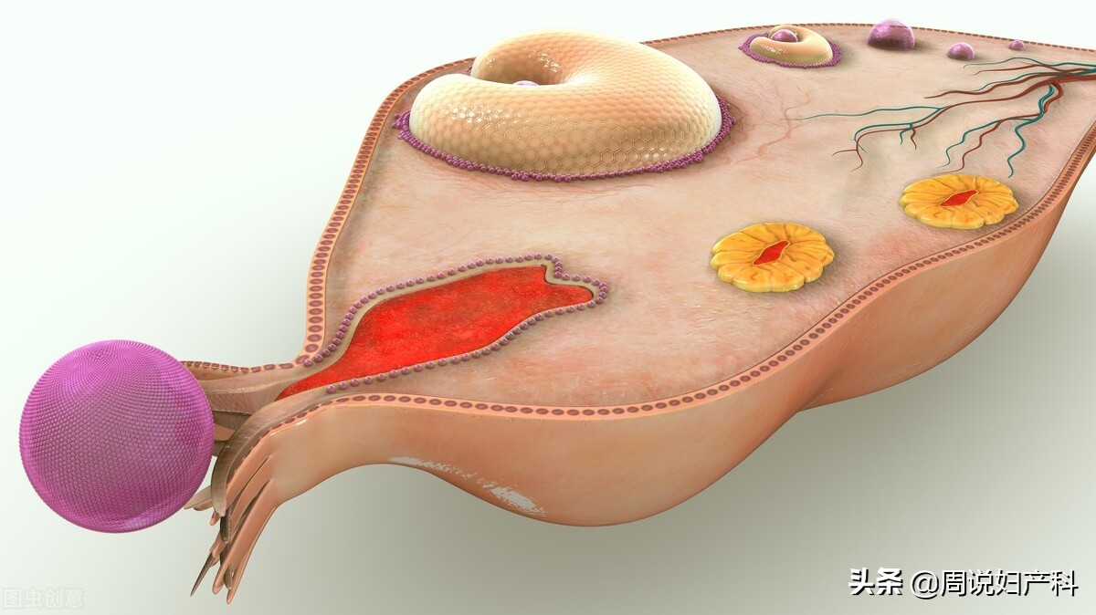 想知道子宫有没有癌症要检查什么,妇科检查会查出来子宫有问题吗