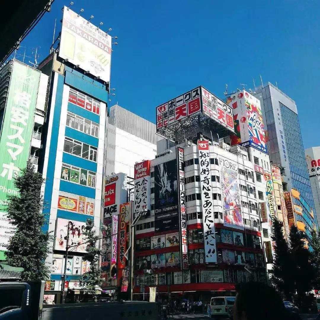 一面墙的手办值一套房,一整面墙的手办