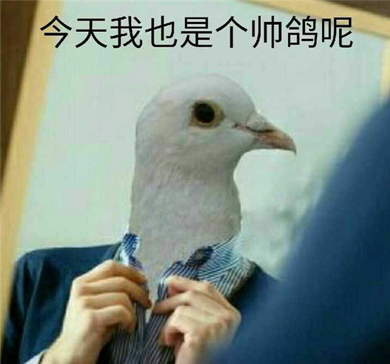 从大逃杀转战吃鸡，从熊猫转战*牙虎**，K先森经历破产后放话不鸽了