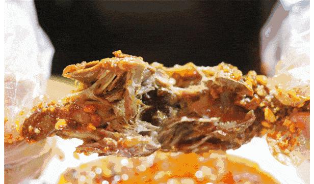 四川人此生最大的疑惑，兔子为啥能把澳大利亚人逼疯（菲李漫画）