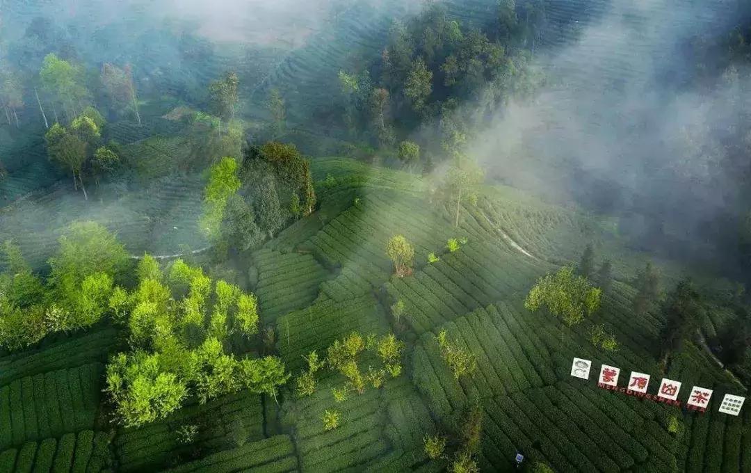 四川最著名的四个古代名山,四川十大名山排名榜