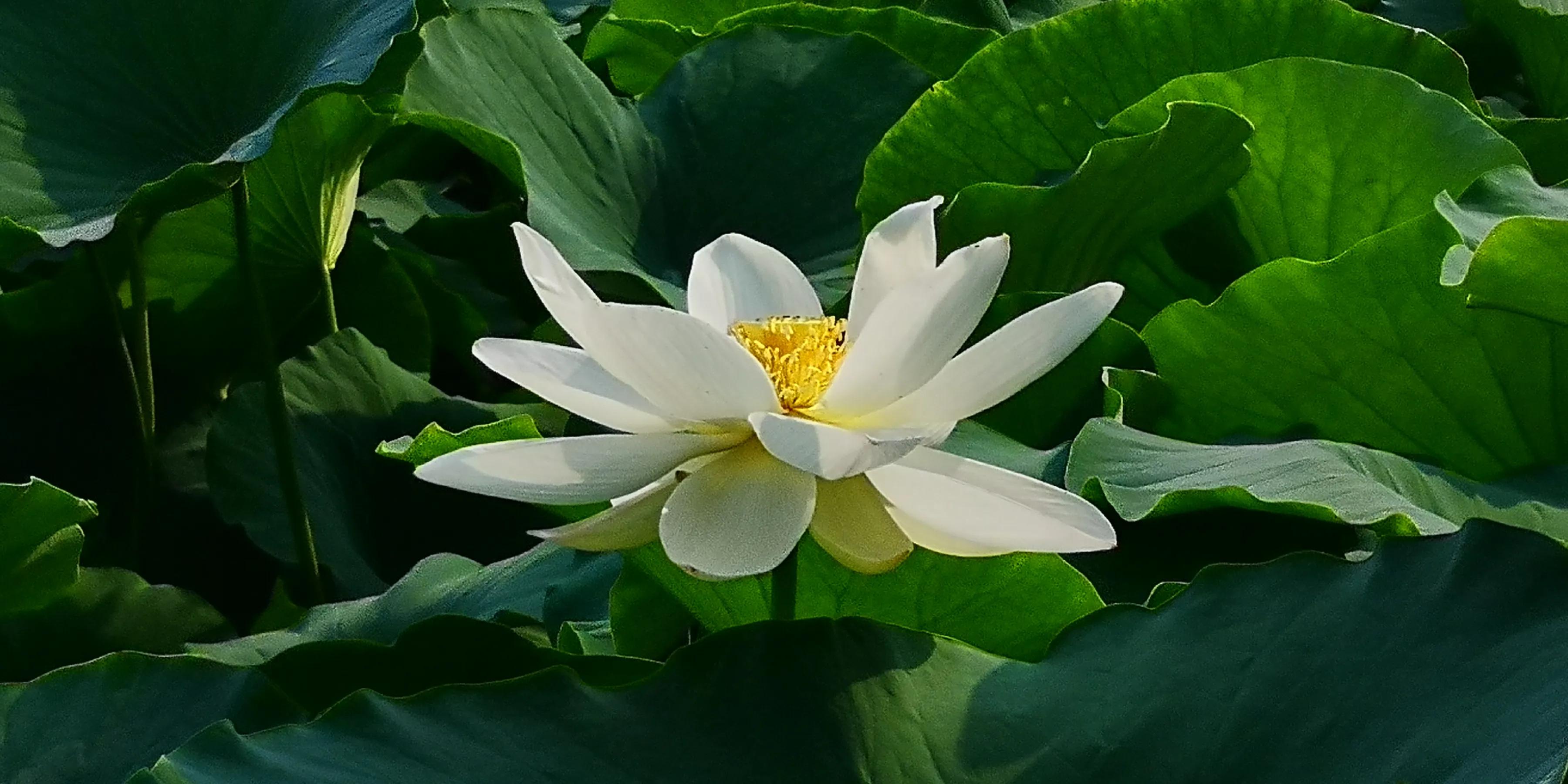 手机摄影手册圈友作品选第5期,手拍世界摄影交流平台