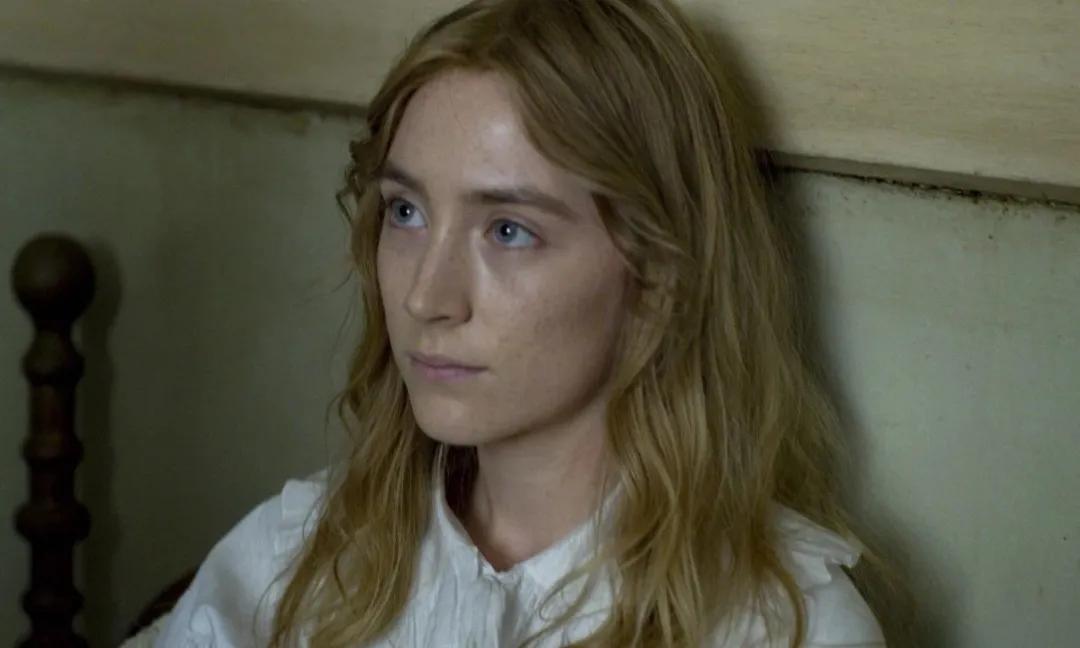 《菊石》的后劲：沉浸体验式的阅片过程，前所未有