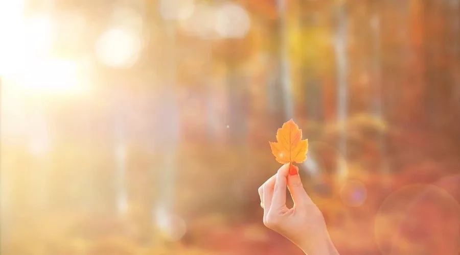 写作素材描写秋天的好词好句好段,描写秋天好句好段摘抄书籍