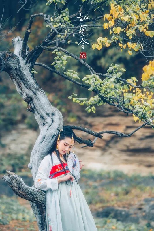 如梦令的相思,如梦令相思千里