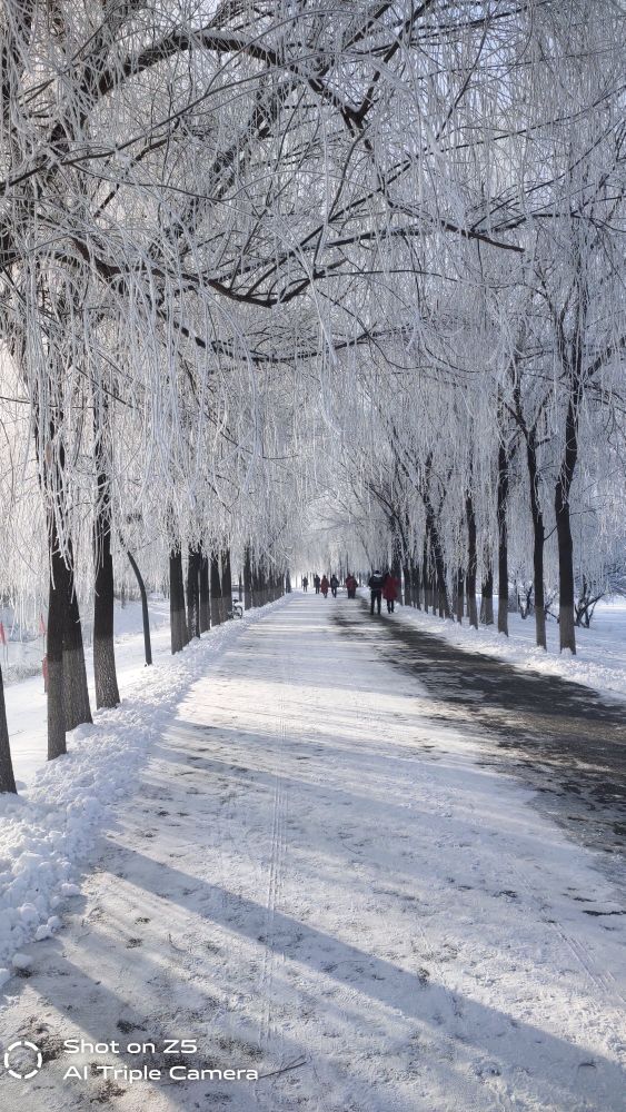 这才是东北该有的味道,这才是东北农村该有的样子