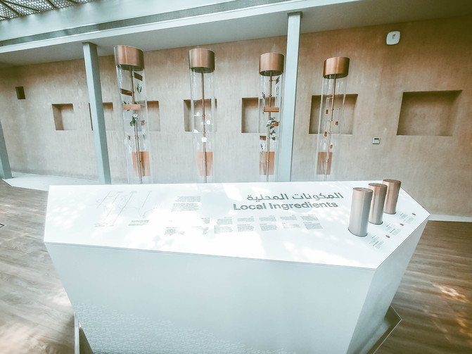 带你看不一样的迪拜,带你感受不一样的迪拜