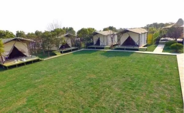 不靠娱乐设施、不接待散客、不主动宣传，这个庄园依然被引爆