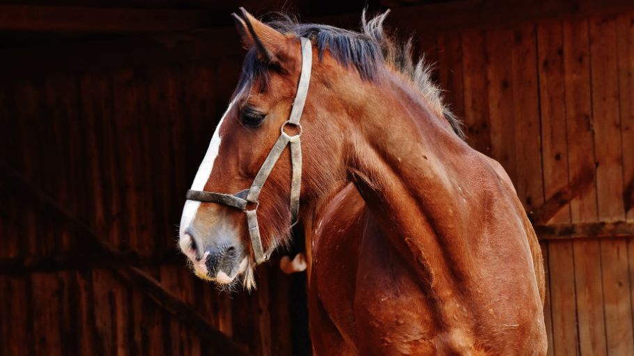 赚了几千万被举报,赚大钱然后被人骗走