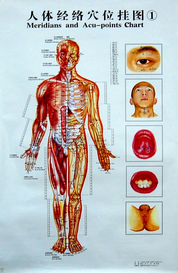 中医所讲的经络真的存在吗,中医经络与经筋循行路线不一样