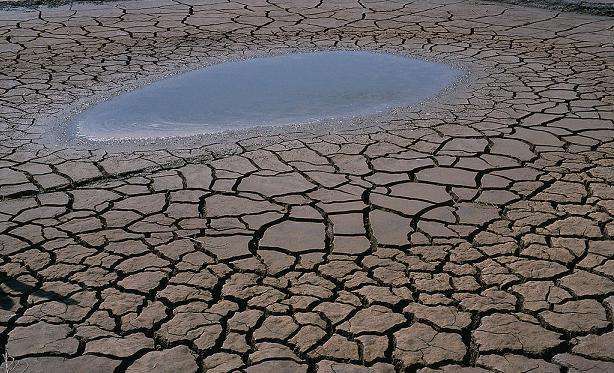 怎么从空气中收集水,如何从空气中获取水