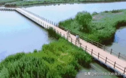 浙江杭州湾新区发展前景,浙江杭州湾新区是属于浙江哪里