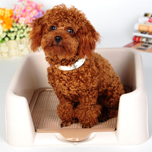 六种基本功训练方法,十种训练方法