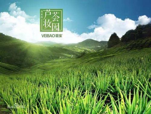 荟佰丽芦荟和芭芭多有什么区别,荟宝跟芭芭多对比哪个比较好