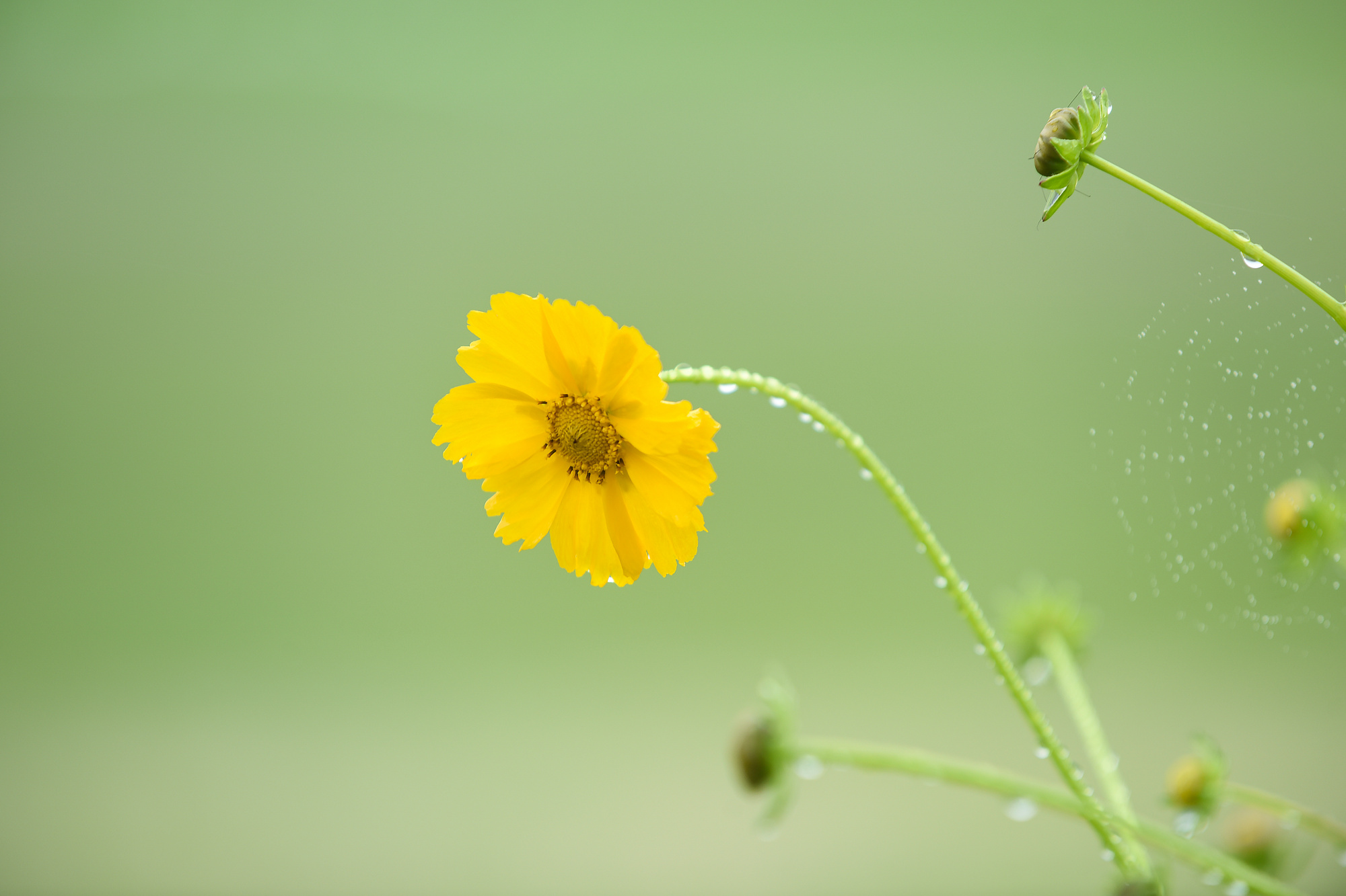 学习比其他星座优秀的几大星座,十二星座谁是学习最聪明的星座