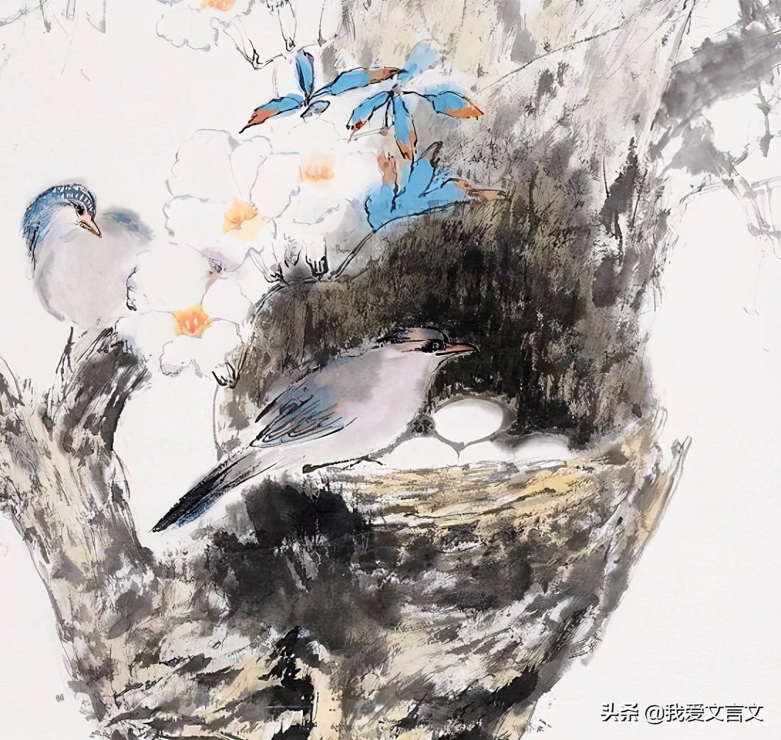 经典文言文句子及翻译精选70句,鸟说文言文翻译告诉我们什么道理