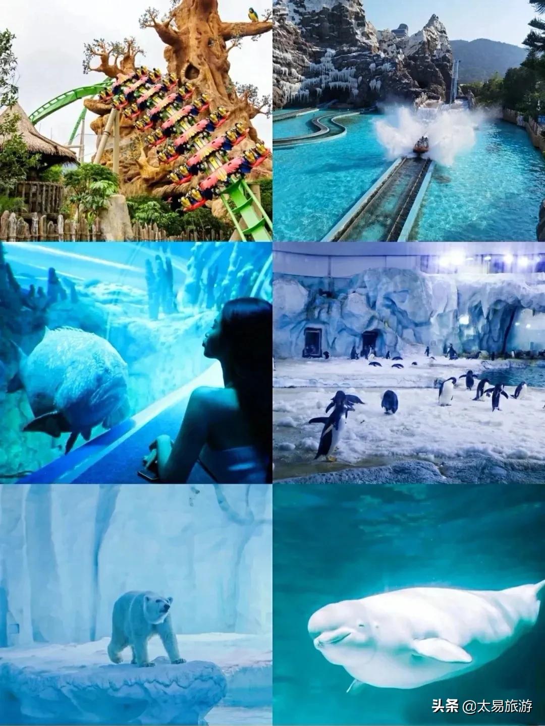 长隆门票买一送一·9月特惠·长隆32周年庆9月限定福利来啦