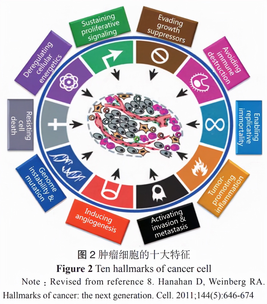 肿瘤患者营养干预,肿瘤患者如何进行营养教育