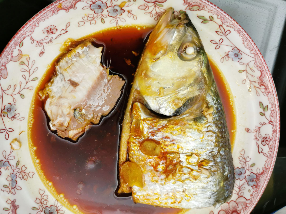 长江三鲜河豚刀鱼鲥鱼,鲥鱼是不是绝迹了