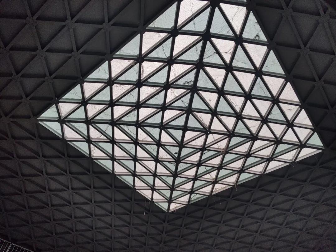 生命树工程视频,中建八局世博项目