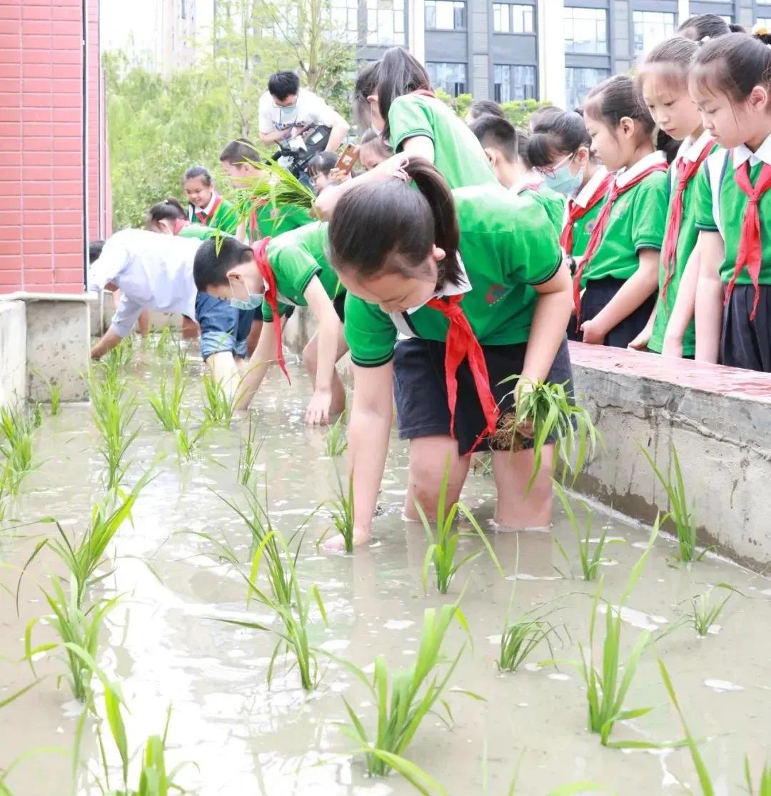 成都有哪些学校不上网课,成都校风差的学校