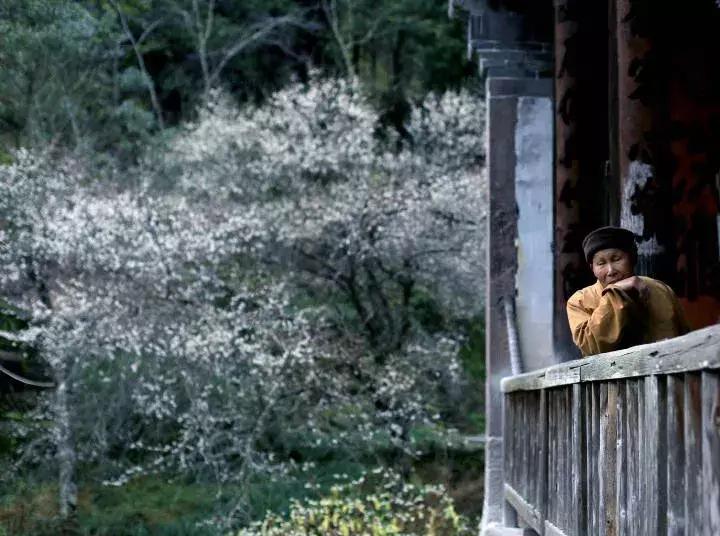 武夷山亲子民宿推荐独栋别墅,武夷山一同山居茶文化民宿