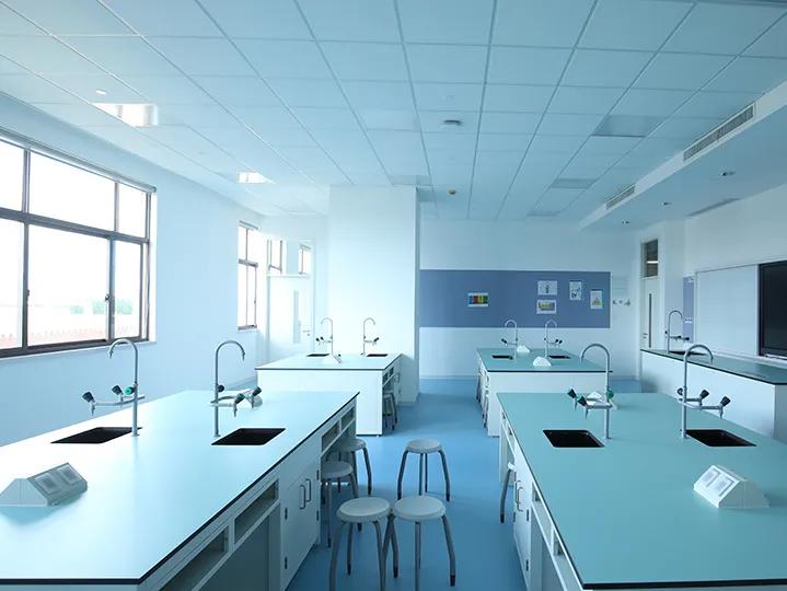 被称为沪上传奇校长，她说出了这所学校在三年内成为黑马的原因