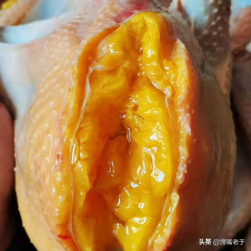 杀鸡时鸡肚里黄油是扔掉还是吃掉,杀鸡发现鸡肚子里有什么东西