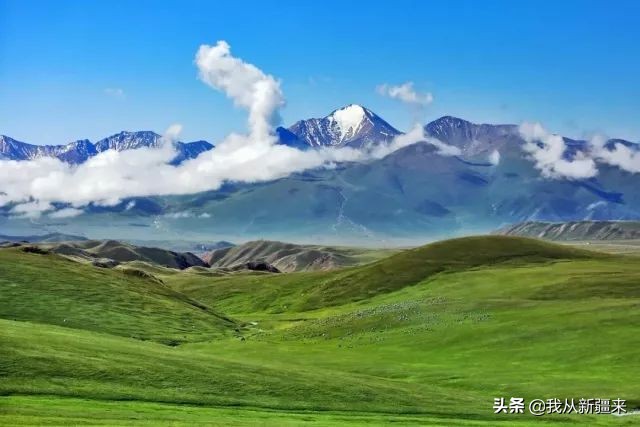 大盘鸡拌面牛肉面烧烤套餐,抓饭拌面大盘鸡自助
