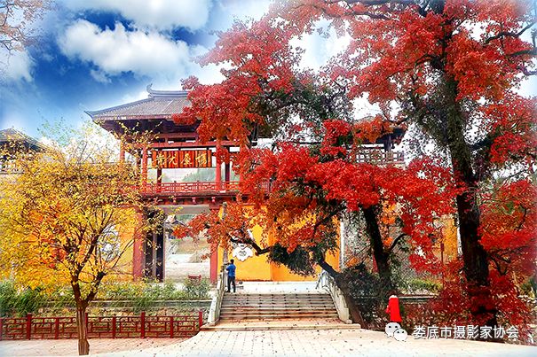 最新风景摄影小品欣赏,娄底景观小品