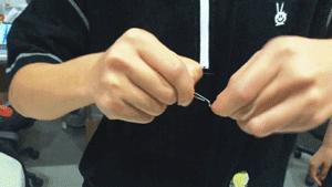 垃圾分类后垃圾放哪里,科罗娜为什么加柠檬比较好喝