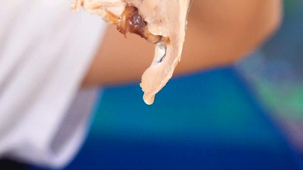 港丽餐厅共和新路店,港丽餐厅舒芙蕾好吃吗