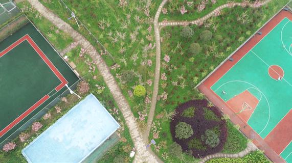 安徽九坝生态度假区,甘肃九坝生态度假区