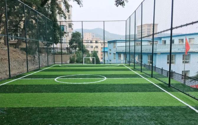 西岗体育馆室内足球场,西岗区新增地块