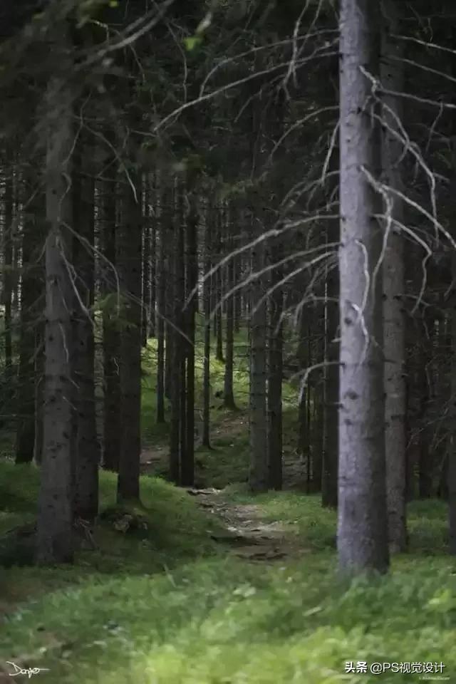 日常照片后期一定要用ps吗,摄影后期修图用ps什么版本