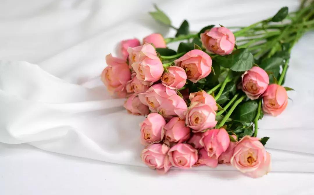 那些年你爱过的小说女配,那些年你爱过的老歌