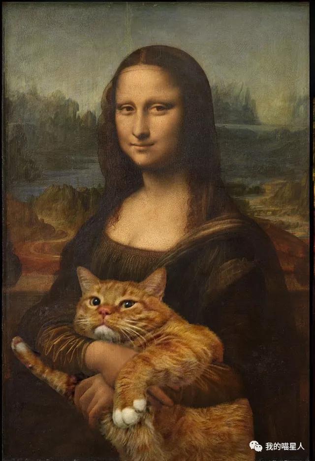 胖橘猫画作,一位画家把自己的猫画成卡通人物