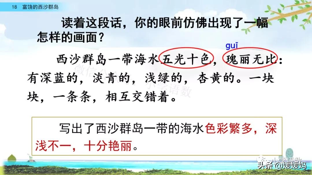 三年级第18课富饶的西沙群岛预习,3年级语文第18课富饶的西沙群岛