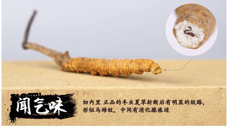 从新疆出发旅游要带什么,入疆旅游攻略