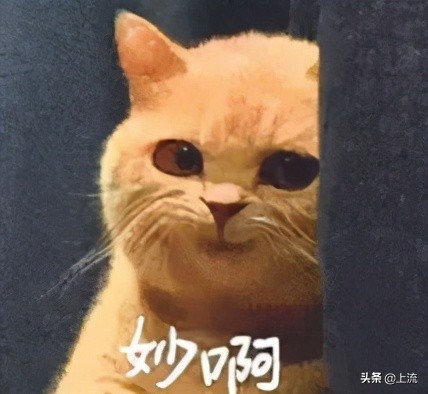 日本情侣主题cos酒店,日本cosplay旅馆