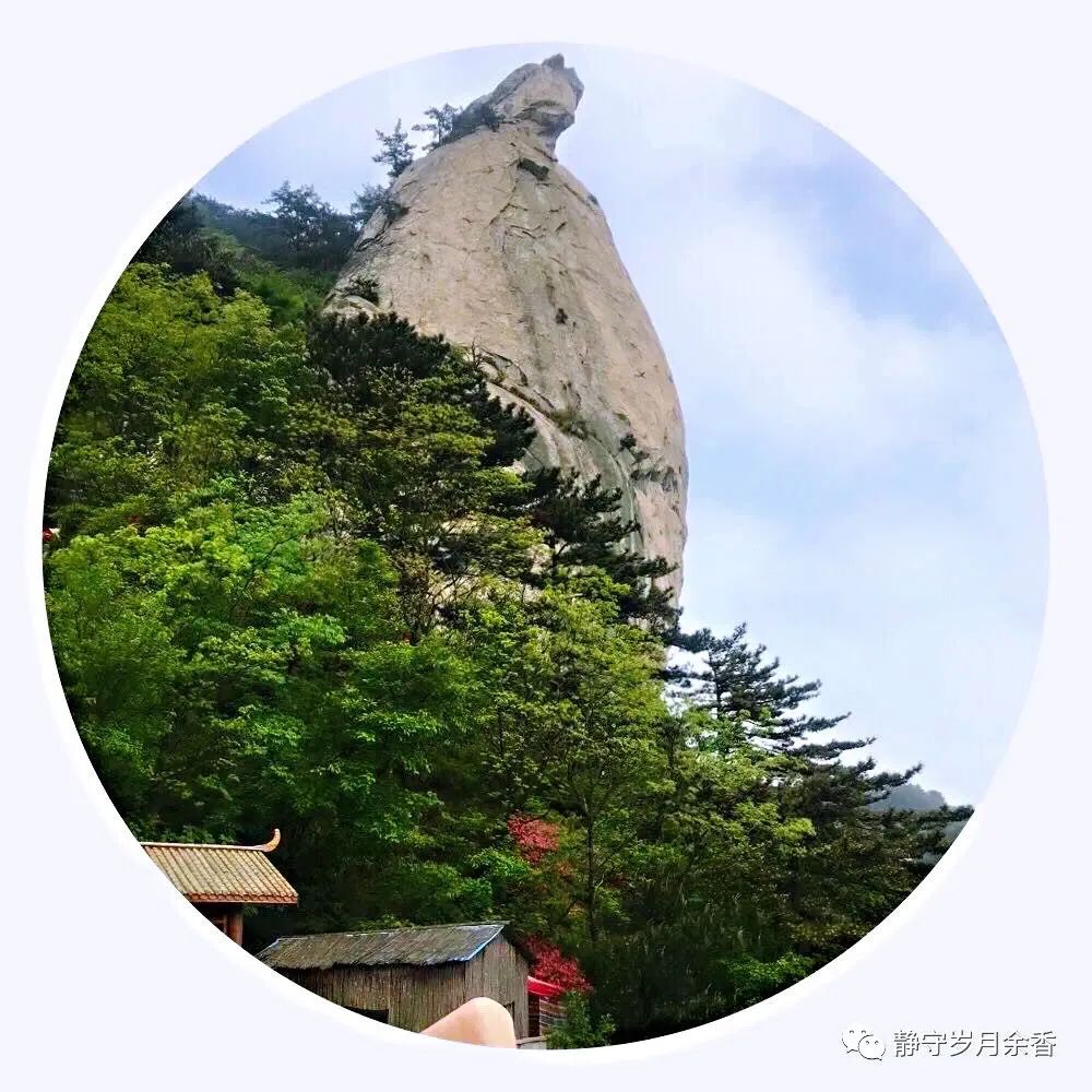 情满龟峰·诗涌花海