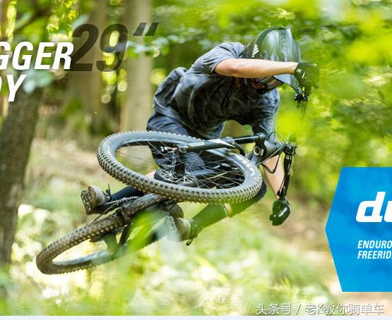 公路骑行入门选车,适合新手入门骑行的公路车