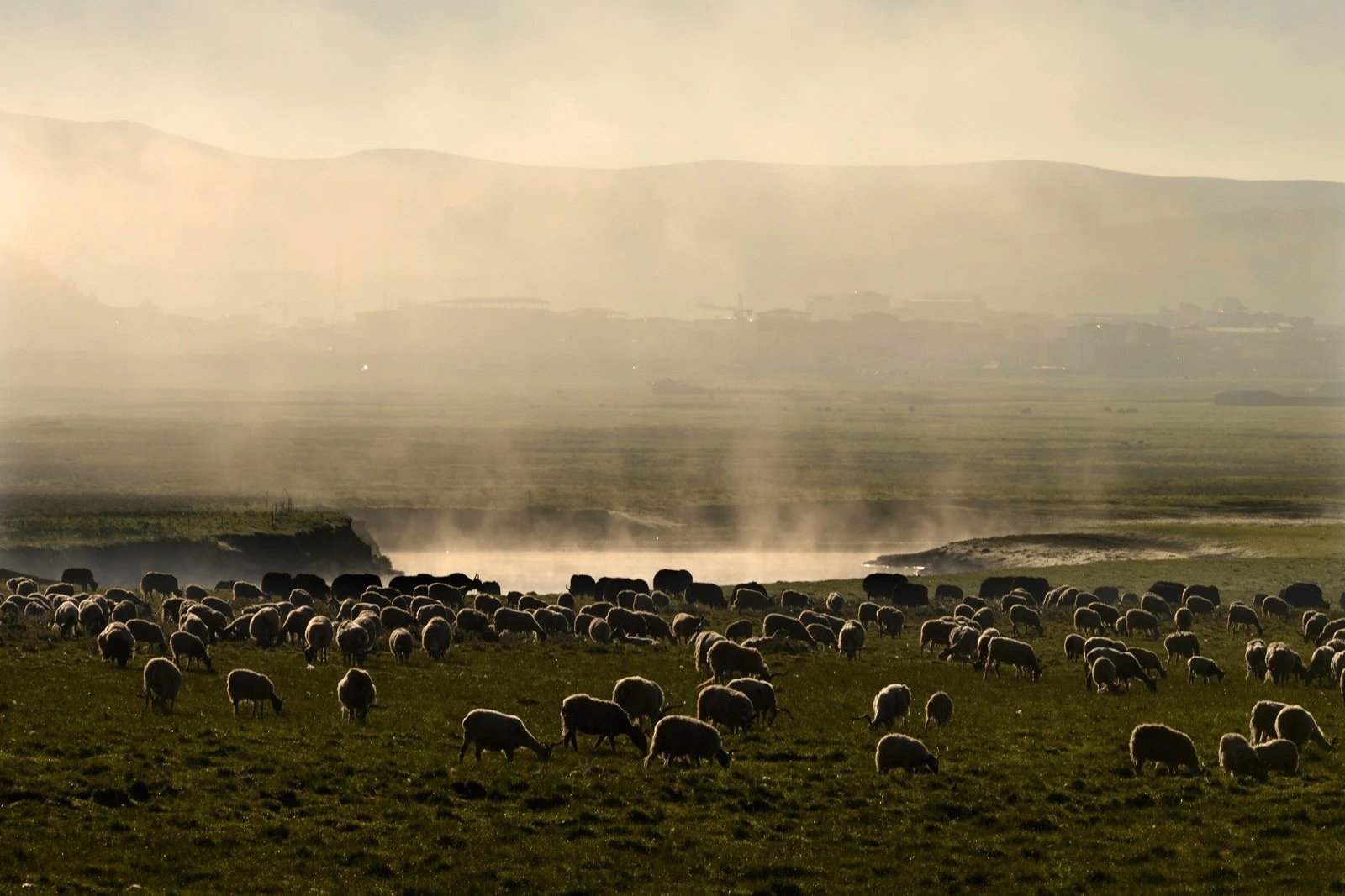 自驾从成都到红原草原旅游攻略,成都自驾若尔盖草原视频