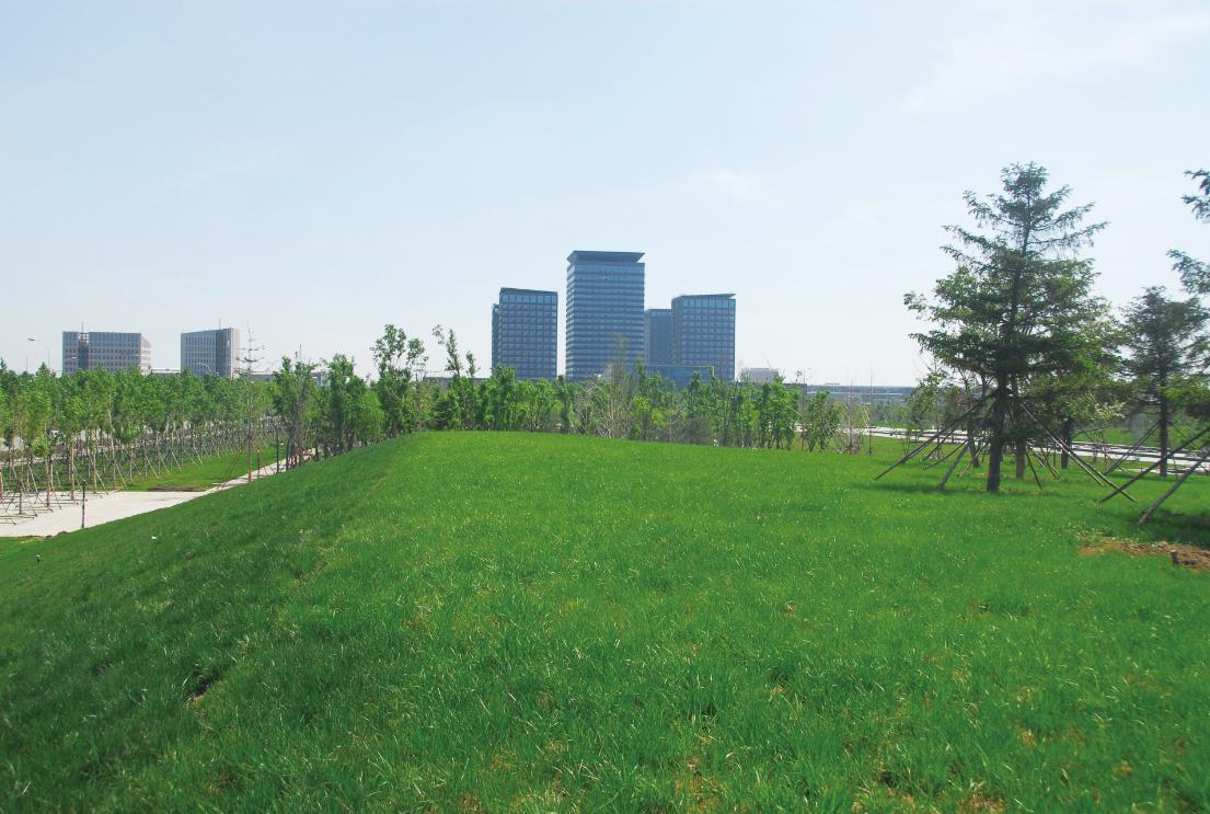 品牌房企纯新盘,浑南新市府板块哪个位置好