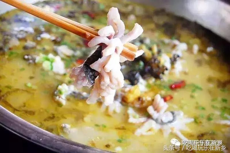 2058花乌鱼？新乡人再不补充胶原蛋白就要加入脱发大军啦！